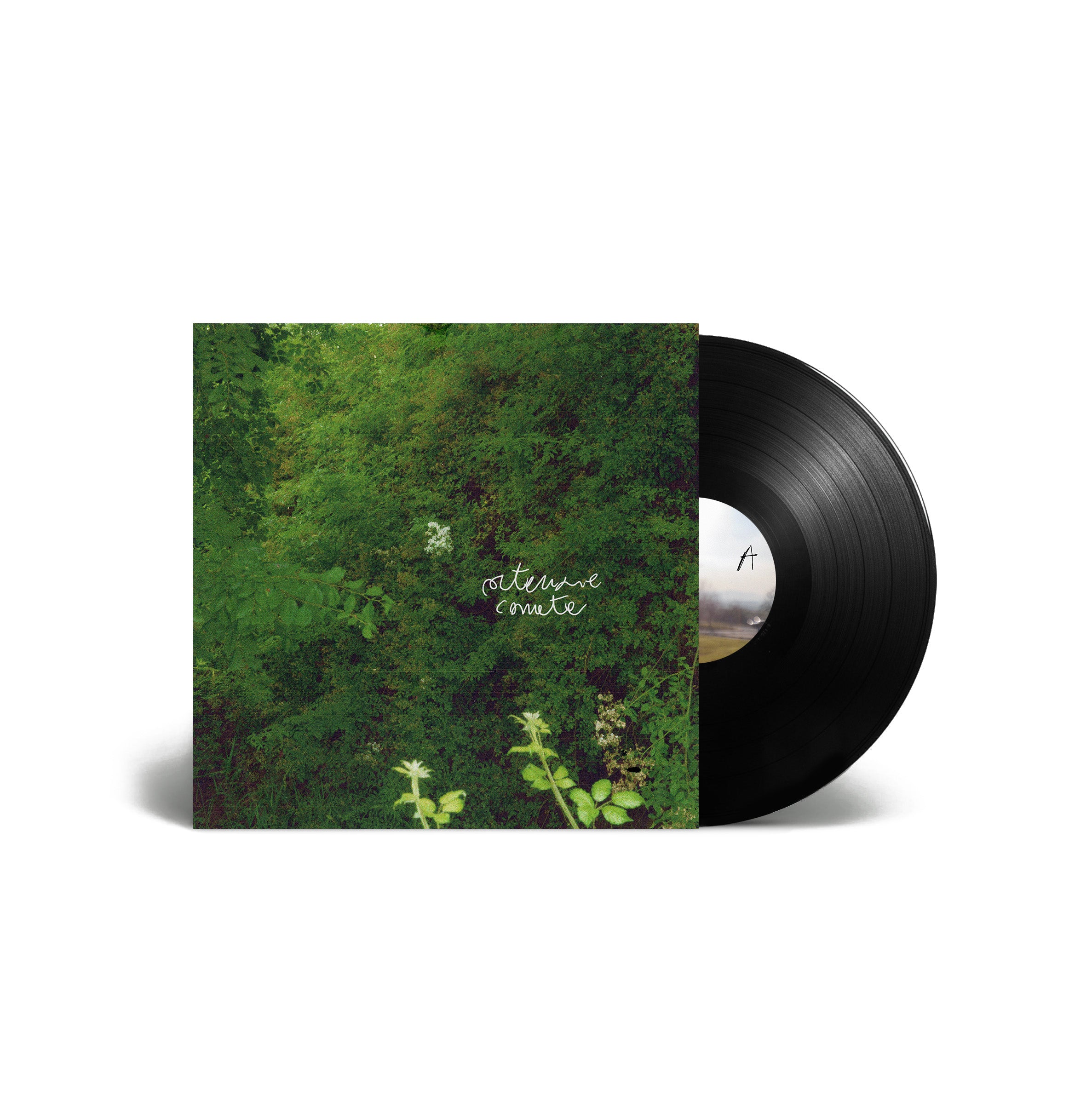 Merli Armisa - Ortensie Comete [LP] – dischisotterranei