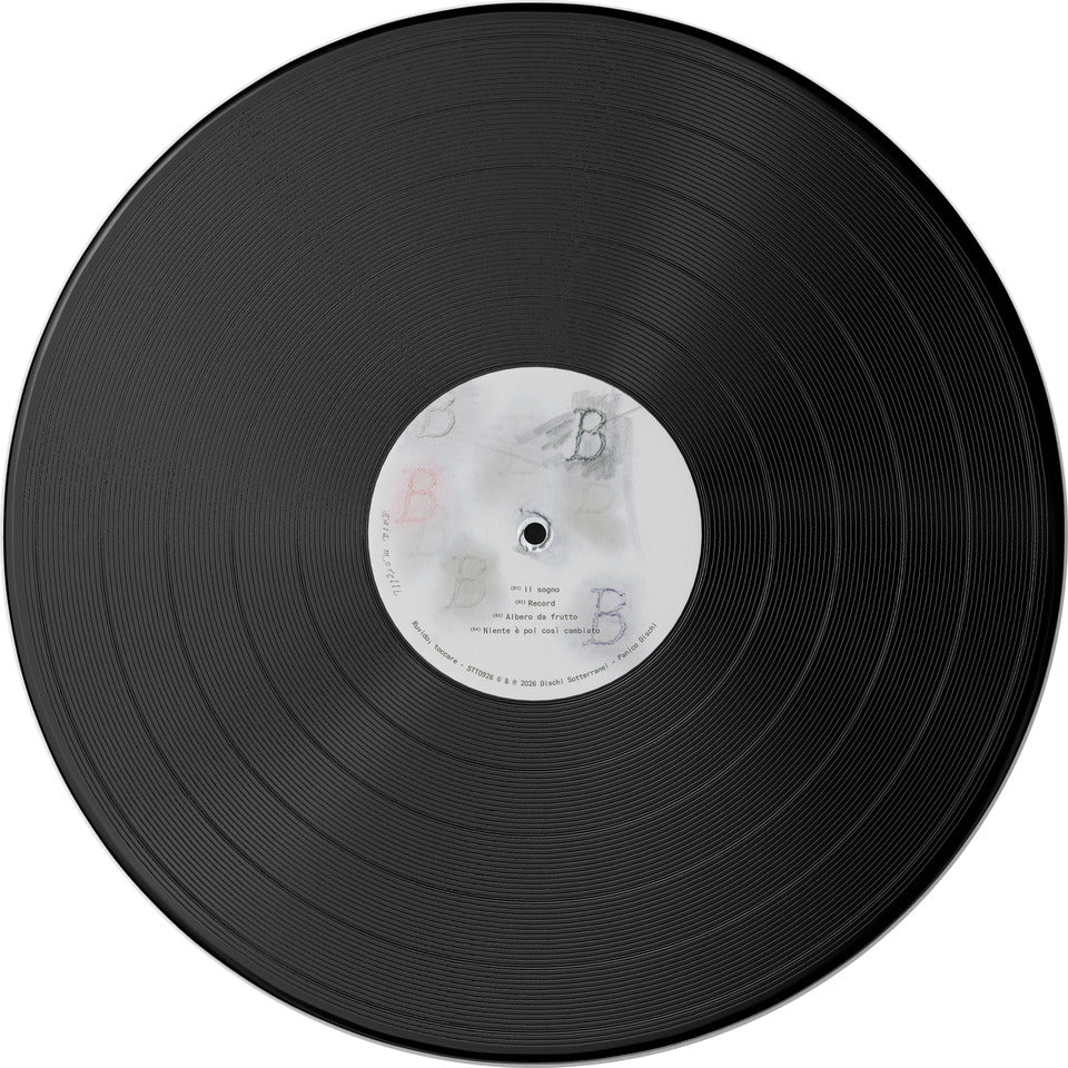 Gaia Morelli – Ruvido, toccare [LP PREORDER]