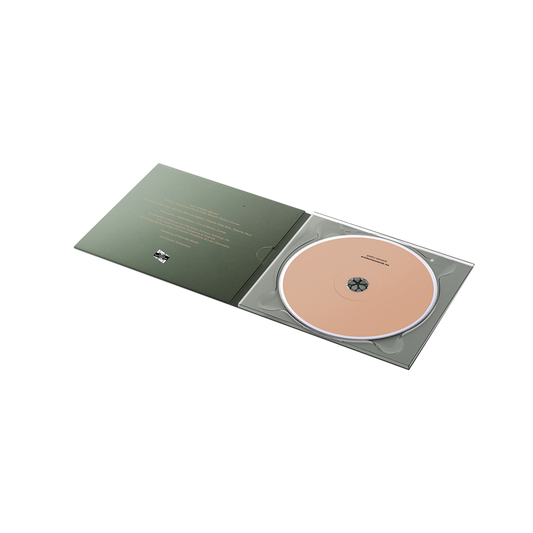 Pietro Berselli – Evidentemente No [CD]